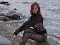 free live webcam video NickolPeterson